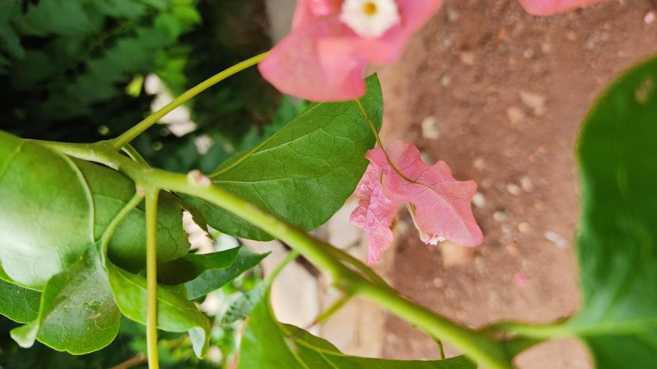 Kanthi Resorts Badami Bagalkot Экстерьер фото