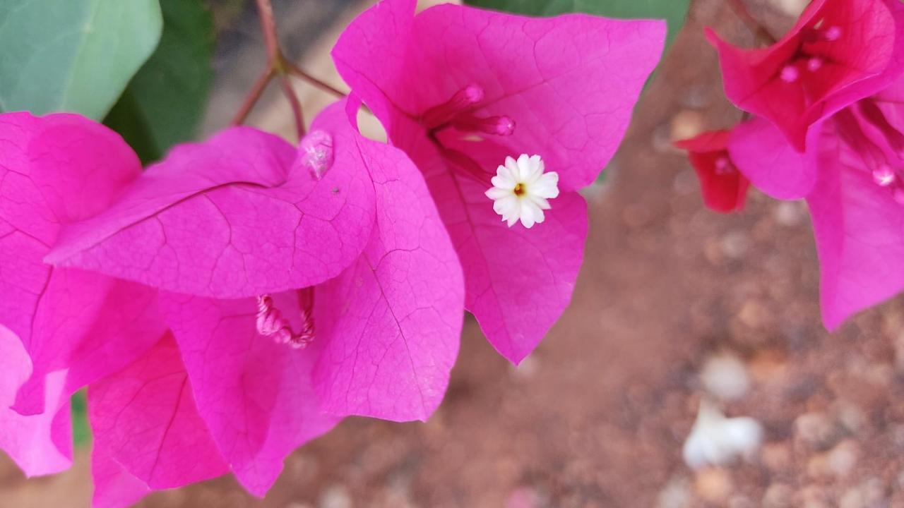 Kanthi Resorts Badami Bagalkot Экстерьер фото