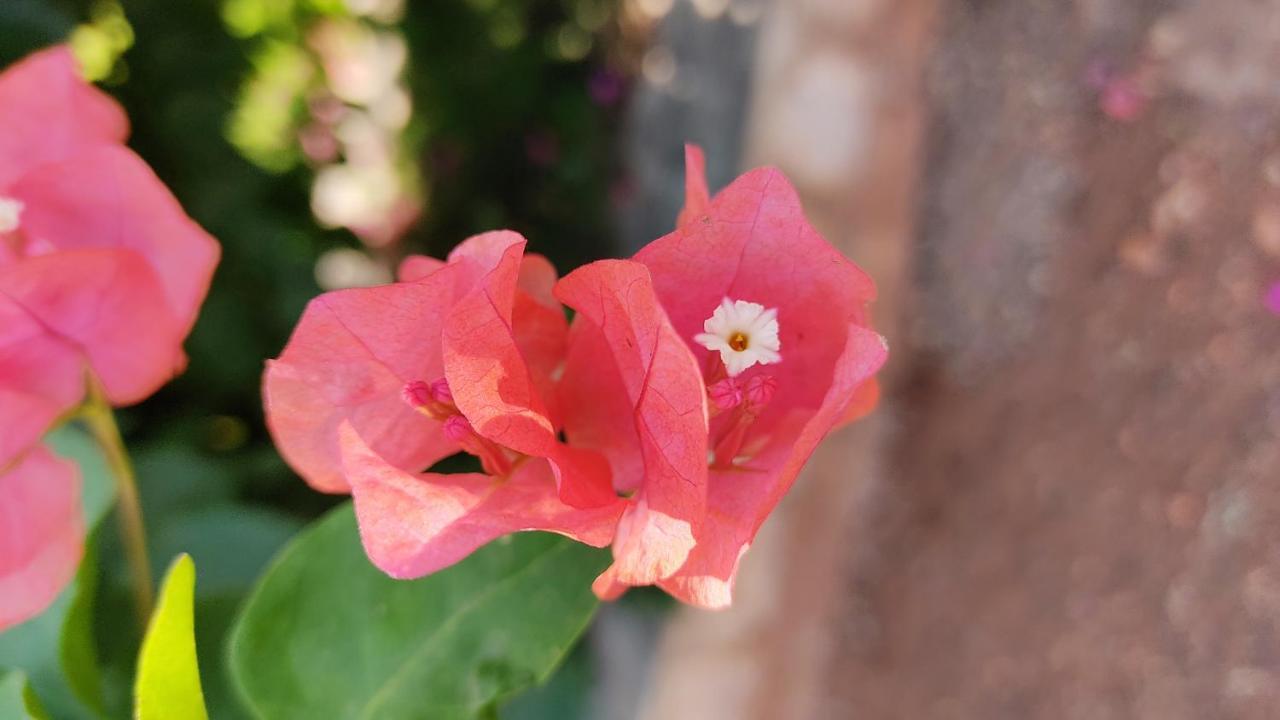 Kanthi Resorts Badami Bagalkot Экстерьер фото